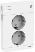 Schneider-Exxact 2-vägsuttag+USB Typ A Typ C WDE002195 Vit