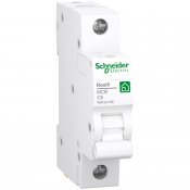 schneider resi9 1-polig C6 R9F24106 3606481301161