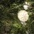 lightson pine 10m ledljusslinga med kottar 7340110601319