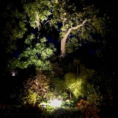 belysning av träd 5063 sirius lightson