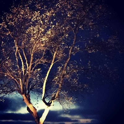 cosmo miljöbild nr1 markspott 10w 7340110602309