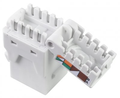 Croco-jack TCS ToolLess UTP C6