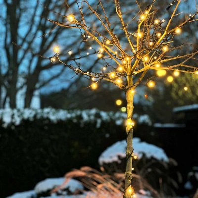 lightson twinky lampor i träd vinter