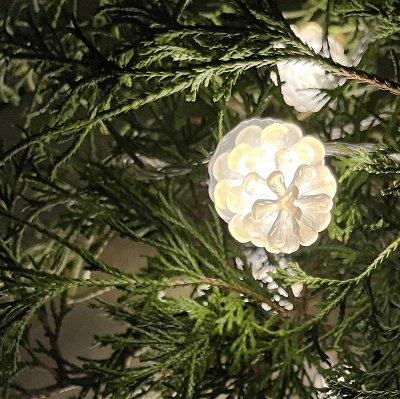 lightson pine 10m ledljusslinga med kottar 7340110601319