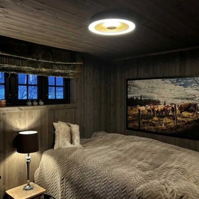 sandy guld svart i sovrum i tak