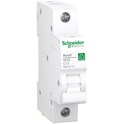 schneider 1-polig C13 R9F24113 3606481301185